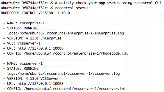 Instant Installation Using RhodeCode Control